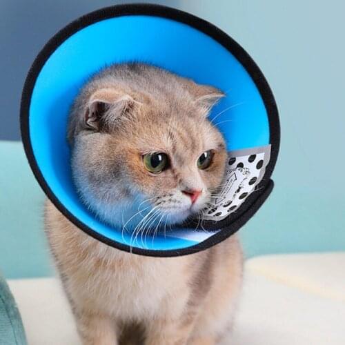 Dog Cat Cone Adjustable Pet Recovery Elizabeth Collar Dog Protective Collar For After Surgery Anti-Bite Lick Wound