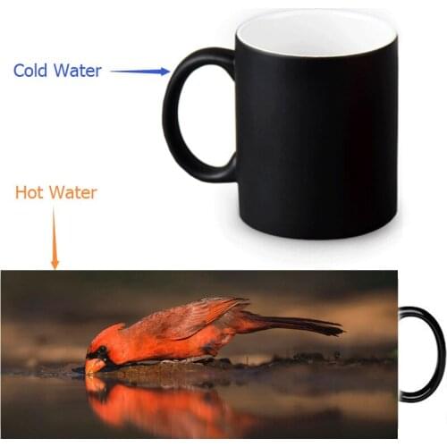 Northern Cardinal Bird Custom Made Design Water Coffee Mug Novelty Gift Mugs Magic Ceramic Mug 12 OZ Office Home Mugs
