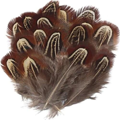 50pcs/lot Rare Multi-colour Natural Pheasant Feather 4-8cm DIY Chickens Feathers for needlework Wedding Party Decoration plumas