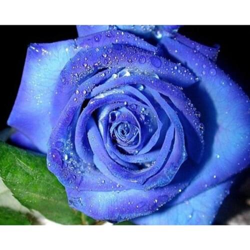 Flower Rose DIY Cross Stitch Embroidery 11CT Needlework Cotton Thread Printed Canvas Home Decoration Wholesale For Living Room