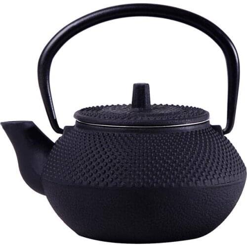 Japanese Kung Fu Teapot Japan southern cast iron office with tea filter black 300ML