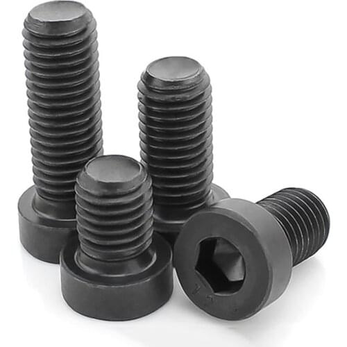 Low Head Socket Cap Screws Grade 12.9 Allen Bolts Screw M5 M6 M8 M10 M12 M14 M16
