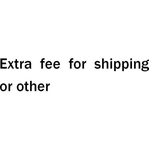 Extra fee for shipping or other