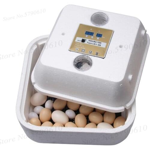 36 incubator, 42 incubator, 70 foam incubator, dual power supply, chicken, duck, goose and pigeon