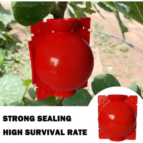 5Pcs Plant Wroeten Bal Enten Wroeten Groeiende Doos Fokken Case Voor Tuin Plant Hoge Druk Voortplanting Doos Boompje