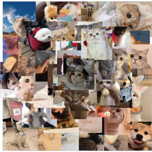 10/48PCS New Kawaii Cat Stickers Decal for Girl Cute Dog Animal Sticker To DIY Suitcase Stationery Fridge Water Bottle Guitar