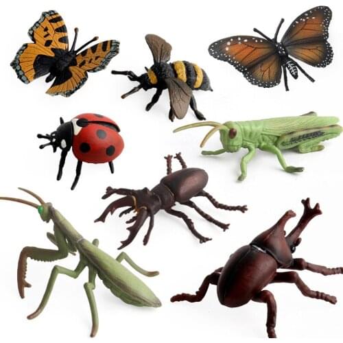 Simulation Butterfly Grasshopper Honeybee Mantis Insect Collection Models Action Figures Cognitive Education Toys