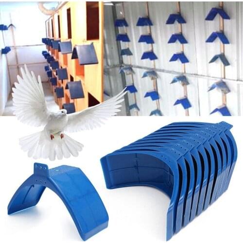 20pcs Pigeon Dove Bird House Parrots Blue Plastic Pigeon Dove Birds Rest Stand Frame Dwelling Perch Shellhard Bird Supplies