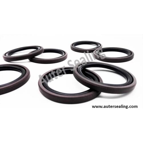 SPGO PTFE Piston seal OD = 12 mm -60 mm hydraulic seal Glyd ring PTFE +Bronze and NBR Orings GSF Gasket
