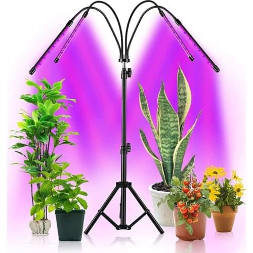 Pengliu Phytolamps For Plants
