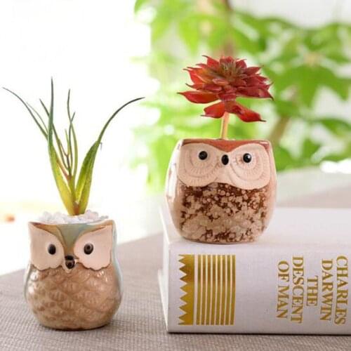 Cartoon Mini Owl Flowerpot Fleshy Flowerpot Fambe Cermic Pot Garden Home Office Decor Planter Desktop Flower Pots