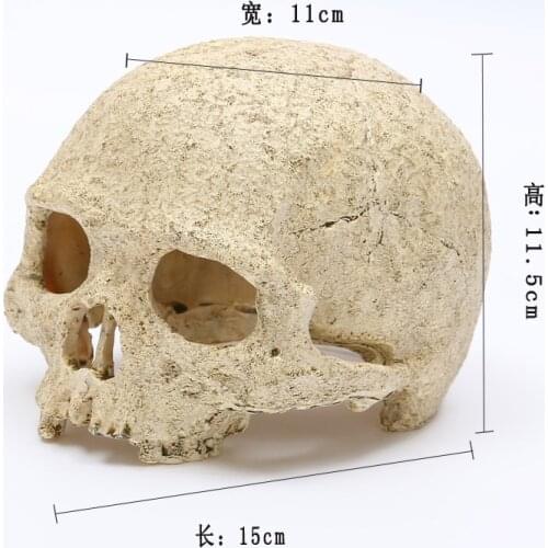Simulation aquarium Tank lizard resin skull cave gecko crawling pet scorpions terrarium reptile cartridge Landscaping skull