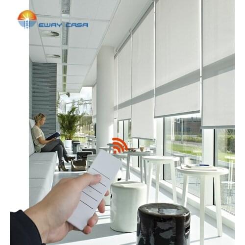 EWAY CASA Tubular Motorized Roller Blinds Electric Curtain Smart Roller Blinds 38mm Tube Indoors SD02-30T