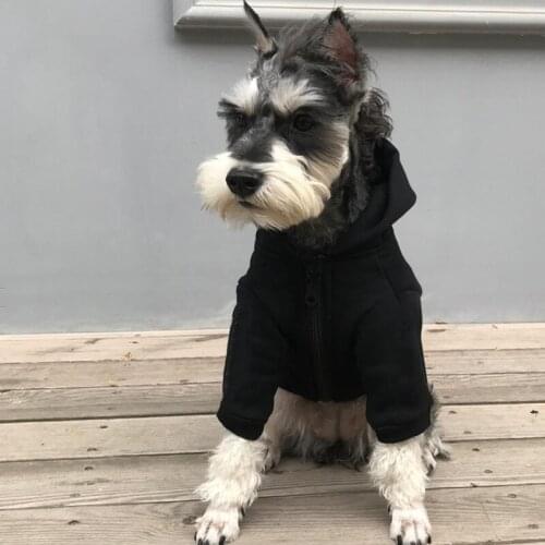 Winter Designer French Bulldog Clothes Fashion Dog Coat Jacket for Small Dogs Schnauzer Cool Hoodie Puppy Costume A12