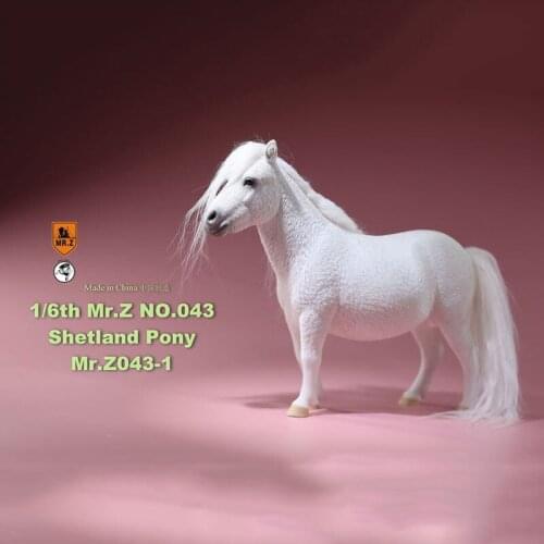 Mr.Z About 16.5CM 1/6 scale Animal Model MRZ043 Shetland Pony Horse Model for 12 inches Action Figure Accessory model decoration