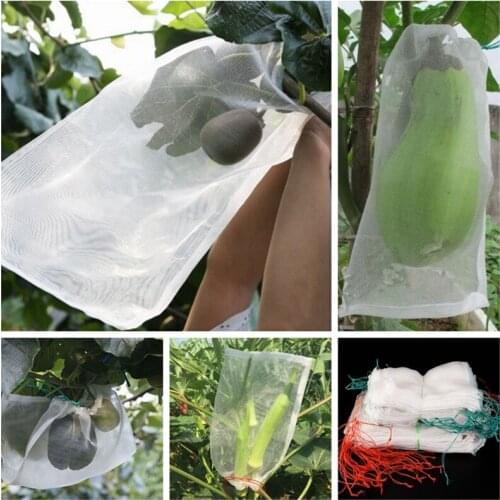 50pcs L:15-35cm 40Mesh Pest Control Nylon Net Bag Agriculture Fruit Protection Netting Mosquito Flies Insect Net Breeding Bag