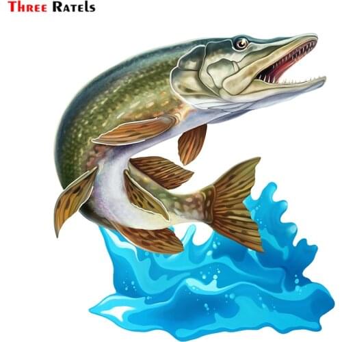Three Ratels FC68 Cool Jumping Northern Pike Walleye 3D Fish Wall Art Stationery Sticker Decal for Car Bike Motorcycle Room