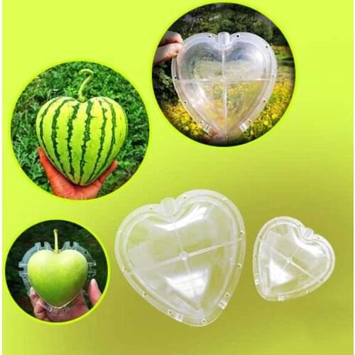 DIY Large Size Plastic Square Heart Shape Watermelon Shaping Mold Clear Forming Growing Fruit Covers Mould Garden Suppliers
