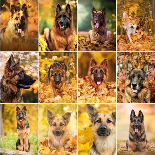 LZAIQIZG Diamond Painting German Shepherd Dog Full Square/Round Picture Of Rhinestone Cross Stitch Autumn Animal Wall Art