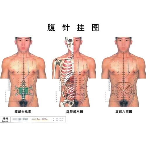 Abdominal Acupuncture Point Wall Chart Chinese Medicine free shipping