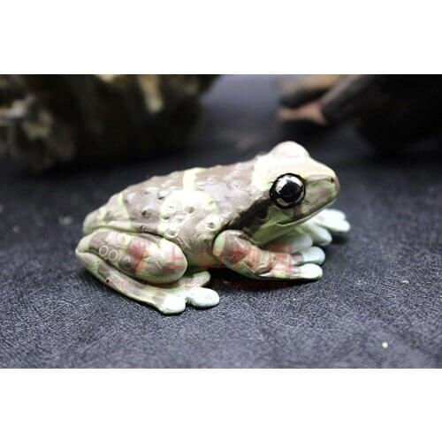 Pvc figure decoration model jie6inch