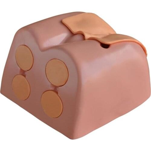 Prostate Examination Medical education manikin Training teaching simulation Nursing skills