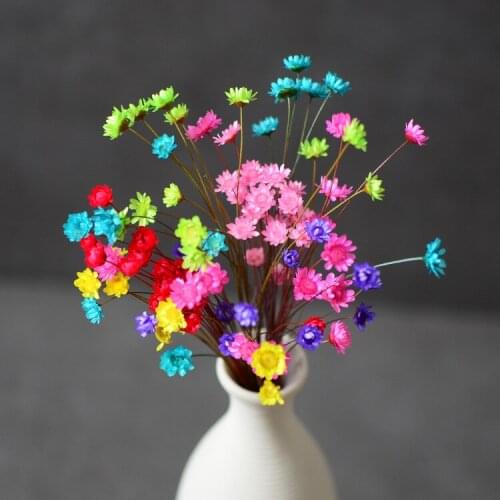 30pcs/lot,Natural Eternal Rose mini star flowers,Delicate Dried display Flower for Wedding Party Home Decoration accessories