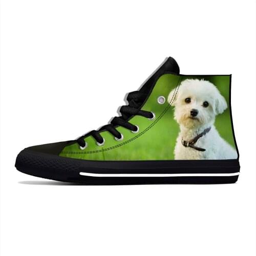 Bichon Frise Animal dog Cut kawaii Harajuku Fashion Lightweight High Top Canvas Shoes Men Women Casual Breathable Sneakers