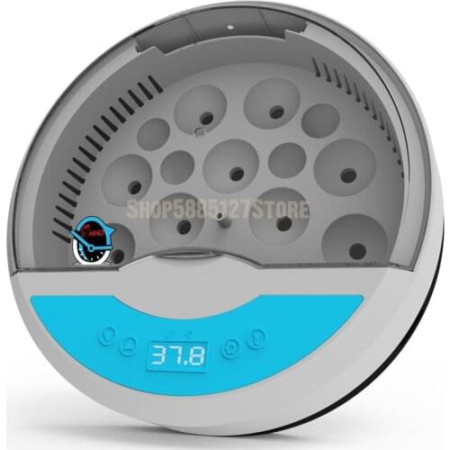 Incubator Small Household Chicken Duck Bird Egg Crawling Pet Incubator Mini Automatic Constant Temperature Incubator 9
