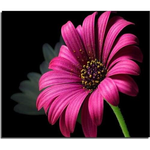 3D Rose Red Daisy DIY Embroidery Diamond Mosaic Needlework New Fashion Diamond Paintings Best Stitch Full Diamond Free Postage