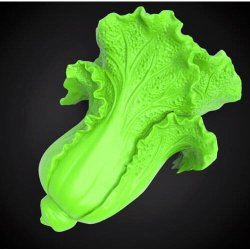3D model for cnc or 3D printers in STL file format -Chinese cabbage