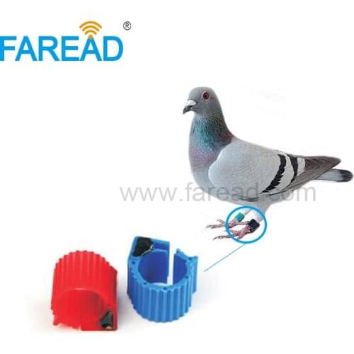 Free shipping inner diameter 9mm TK4100 125Khz chip Electronic RFID Pigeon Bird Ring Tag For Tracking
