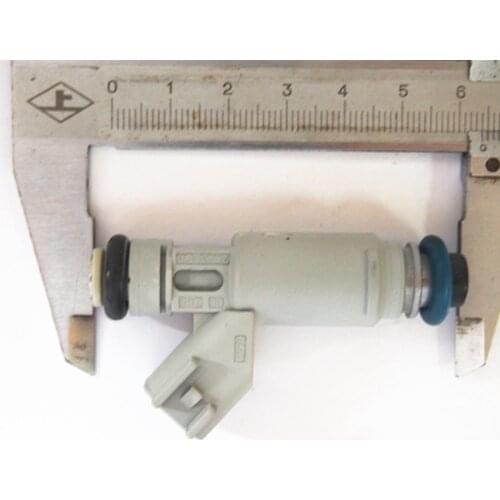 Petrol Gas Fuel Injector 2X43-CA Fits For Jaguar X-Type Ford Mazda 2X43-CA-1291-04