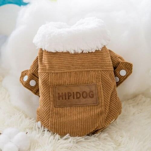 Cat Clothes Winter Fleece-Lined Pet Warm Two-Leg Cotton-Padded Coat Fur-Free Cat Blue Cat Double-Layer Jacket Cross-Border