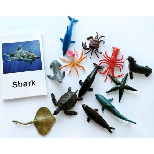24pcs Baby Montessori Learning Language Materials Poultry/Sea Animal Match Cards Montessori Educational Toys For Children