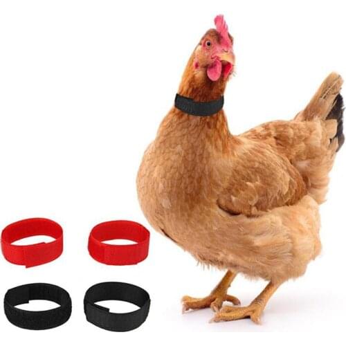 1Pair No Crow Rooster Collar Chicken Collar Noise Free Anti-Hook Neckband Collars Supplies