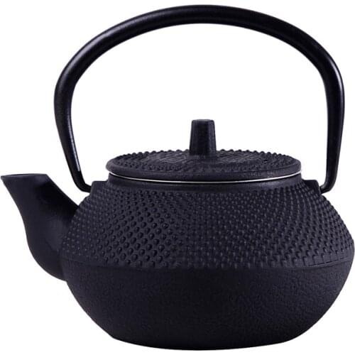 Japanese Kung Fu Teapot Japan Southern Cast Iron Office With Tea Filter Black 300ml