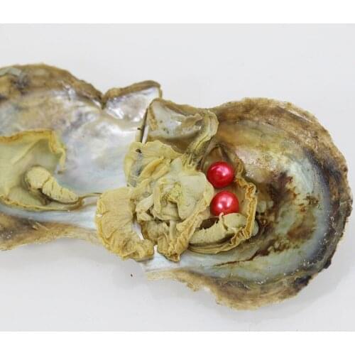 Popular Red Twin Pearls Akoya Oysters Bulk 20pcs Saltwater Oysters with 7-8MM Double Pearls Inside AAA Round Wish Pearl FP358
