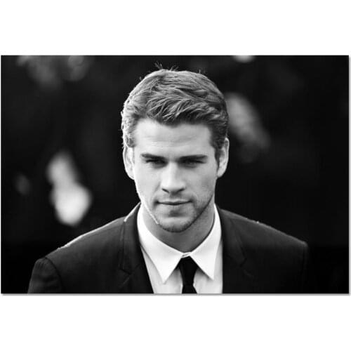 Custom Liam Hemsworth Canvas Poster 40X60cm50X75cm Fashion Classic Home Decor Cloth Silk Fabric Wall Art Poster for Living Room