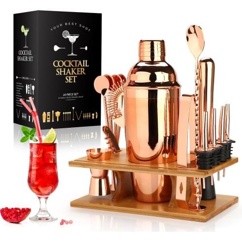 16pcs Bartender Kit for Mixer Wine Martini, Cocktail Shaker Making Set,Stainless Steel Bars Tool, Home Drink Party Accessories