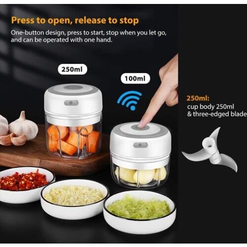 Cordless 2 Pcs Electric Mini Garlic Chopper Masher Chili Vegetable Food Processor Mincer Blender Mixer 100/250Ml