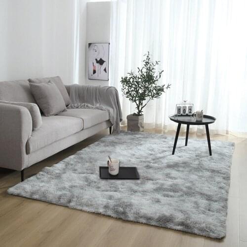 Thick Carpet for Living Room Plush Rug Children Bed Room Fluffy Floor Carpets Window Bedside Home Decor Rugs Soft Velvet Mat