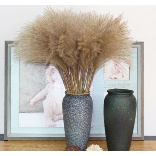 20Pcs Real Dried Reed Flowers Bouquet Home Wedding Decoration Table Flowers Natural Ree Grass Decoration For Room 30-40cm