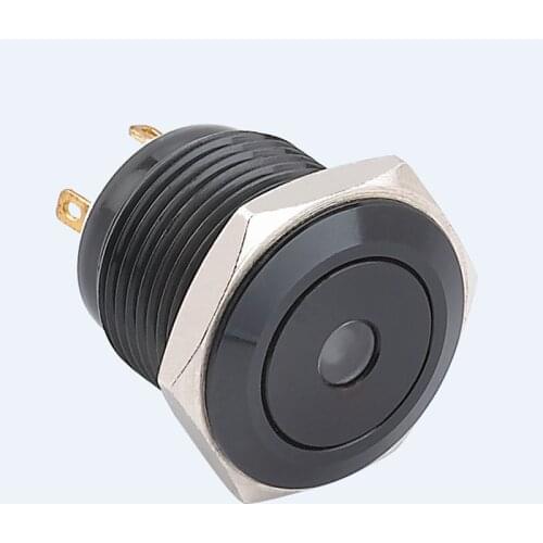 ELEWIND 16mm Dot illuminated momentary push button switch (PM161F-10D/J/B/12V/A)