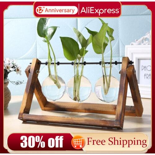 Glass Vase Planter Table Desktop Hydroponics Plant Bonsai Flower Pot Hanging Pots with Wooden Tray Home Planter Vase Decor