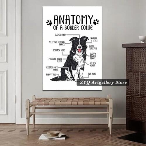 Anatomy of a Border Collie Poster Art Picture Prints Home Decor Wall Canvas Painting Decoration For Living Room Animal