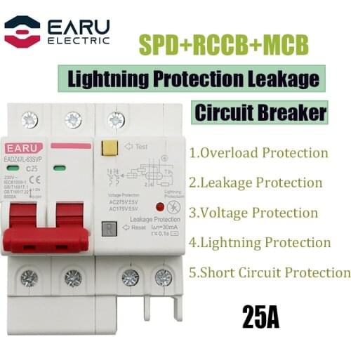 25A 2P SPD Residual Current Circuit Breaker With Overload Overvoltage RCBO RCCB With Lightning Protection MCB Leakage Protector