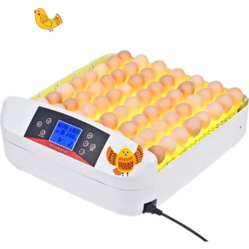 One key for fertile eggs hatching incubator