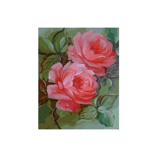 MaHuaf-W271 pink flower DIY oil painting by numbers Hand Painted Framed Acrylic Picture coloring by numbers on canvas