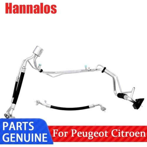 Suitable for Peugeot 307 Sega 30 Triumph 408 C4L air conditioning tube refrigeration fluorine tube high and low pressure double